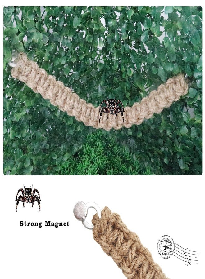 MHLLGN Jumping Spider Enclosure Accessories, 2 Pack Climbing Rope Bridge with Magnets, Braided Rope Bridge for Spiders, Tarantula Enclosure Accessories - Image 5